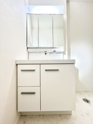 ʑEʏ@傫₷OʋŐʑ́AgȂ݃`FbN┧̂ɂ߂łB 