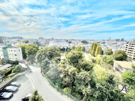 ���̑��@�S�n�悢����������ꂻ���Ȓ��]�ł�