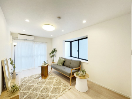 rO@傫ȑ炽Ղ̗zƕ郊rO