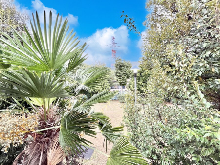 ���̑��@���Z�܂�����̒��]�ł��B�@