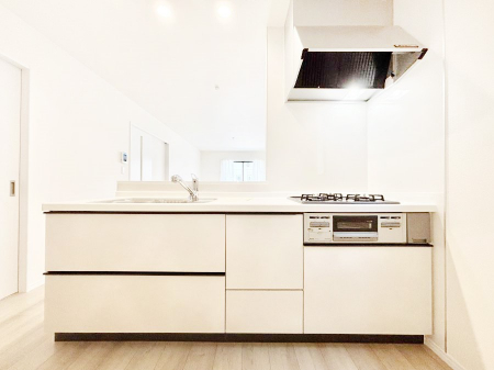 �L�b�`���@�V�X�e���L�b�`���̓V���v���ŃX�b�L�������O���̗��Ȃ��f�U�C���Ȃ̂ŉi���g�������I