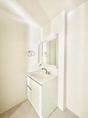 ���ʑ�E���ʏ��@���[�͂Ƌ@�\���ɗD�ꂽ���ʉ��ϑ�@