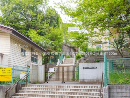 ���ӊ��@���w�Z 1300m �s��s�����{�䏬�w�Z