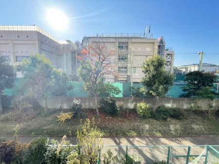 ���̑��@�o���R�j�[����̒��]�ł�