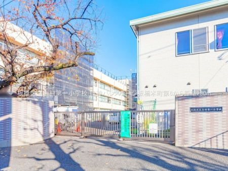 ӊ@wZ 230m 旧uꏬwZ