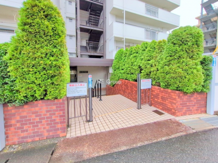 �G���g�����X�@-