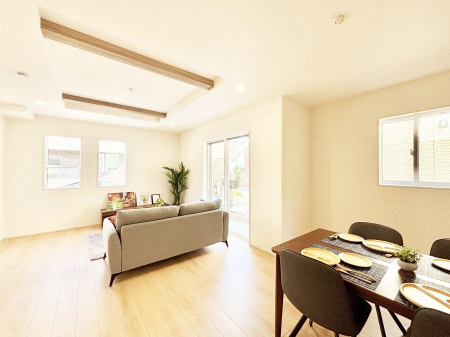 rO@傫ȑ炽Ղ̗zƕ郊rO