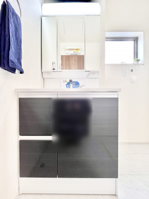 ���ʑ�E���ʏ��@�X�^�C�����O�ɕ֗��ȎO�ʋ��A�~���[�L���r�l�b�g�ōׂ������X�b�L��