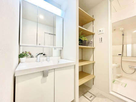 ���ʑ�E���ʏ��@�X�^�C�����O�ɕ֗��ȎO�ʋ��A�~���[�L���r�l�b�g�ōׂ������X�b�L��