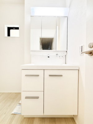 ���ʑ�E���ʏ��@�X�^�C�����O�ɕ֗��ȎO�ʋ��A�~���[�L���r�l�b�g�ōׂ������X�b�L��