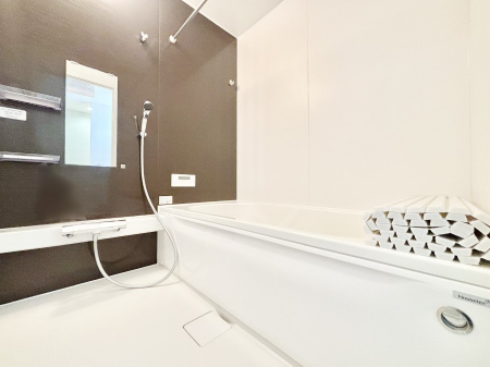 �����@�����������F�����̕ǖʁA������������芰����o�X���[���B