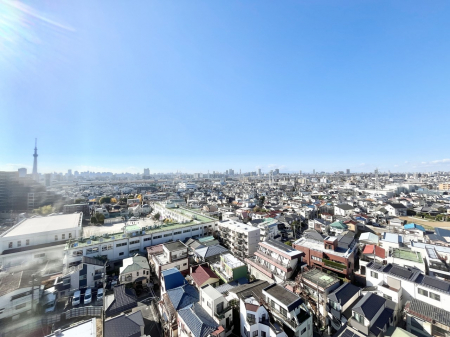 ���̑��@�S�n�悢����������ꂻ���Ȓ��]�ł�