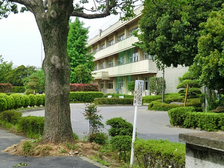 ӊ@wZ 750m vsv쓌wZ 