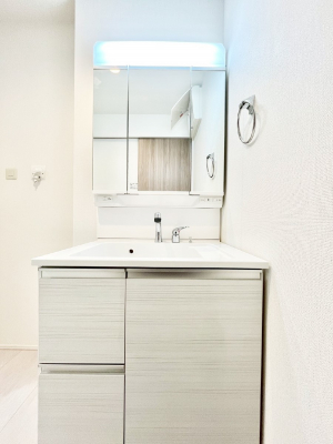 ���ʑ�E���ʏ��@���[�͂Ƌ@�\���ɗD�ꂽ���ʉ��ϑ�