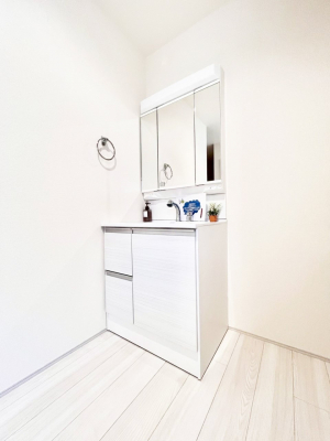 ���ʑ�E���ʏ��@�X�^�C�����O�ɕ֗��ȎO�ʋ��A�~���[�L���r�l�b�g�ōׂ������X�b�L��