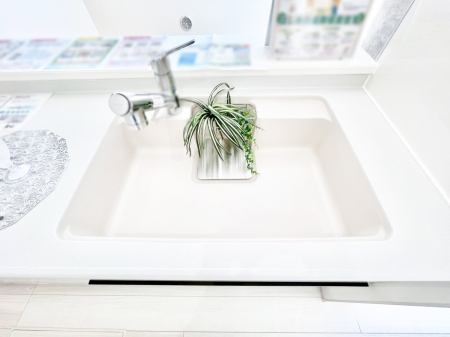 ���̑����ρ@�L�X�Ƃ����V���N�ł������₨�M�􂢂����N���N���K�ɁI