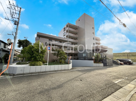 ���n�O�ώʐ^�@����z���ł��Ƒ��̏Ί���P��