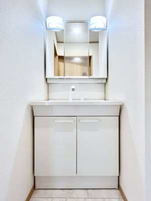 ʑEʏ@傫₷OʋŐʑ́AgȂ݃`FbN┧̂ɂ߂łB 