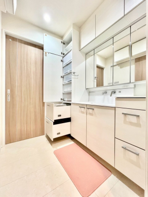 ���̑����ρ@���[�͂ɗD�ꂽ���ʉ��ώ�