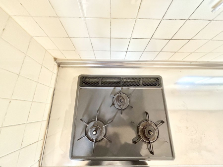 ̑ρ@OKXRłCɂ͂ǂ肻  