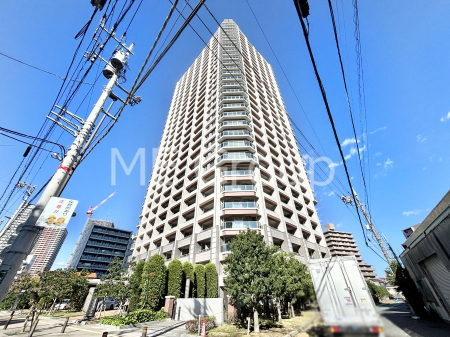 nOώʐ^@Ƃ肪Ί𐶂ސSn悢 