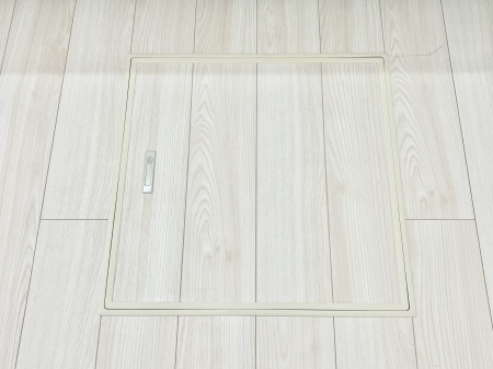 ���̑����ρ@�������[�t���I���p�i�E���p�i�̎��[�ɂ��劈��B