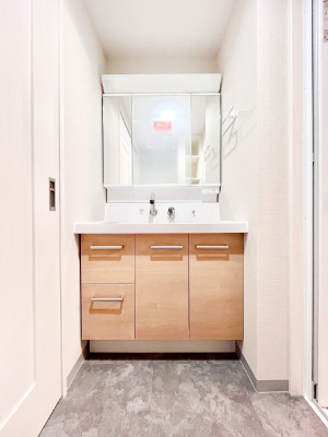 ���ʑ�E���ʏ��@�X�^�C�����O�ɕ֗��ȎO�ʋ��A�~���[�L���r�l�b�g�ōׂ������X�b�L��