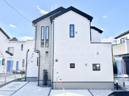 nOώʐ^@Ƃ肪Ί𐶂ސSn悢 