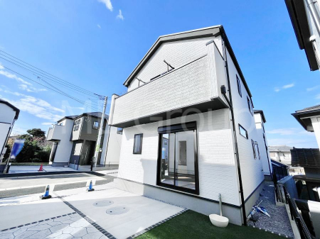 nOώʐ^@Ƃ肪Ί𐶂ސSn悢 