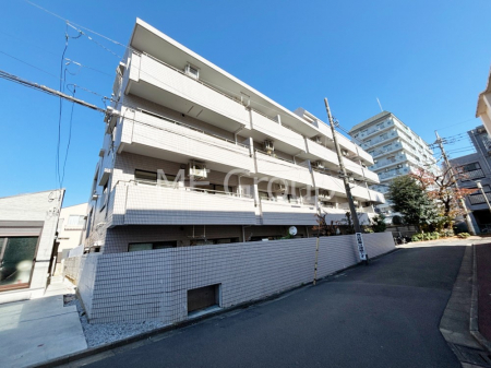 ���n�O�ώʐ^�@��������n�܂�V�����������������܂�