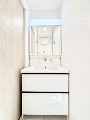 ���ʑ�E���ʏ��@���[�͂Ƌ@�\���ɗD�ꂽ���ʉ��ϑ�