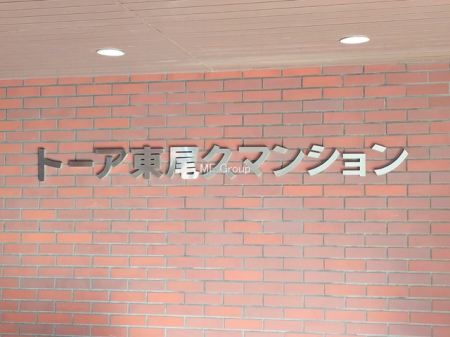 �G���g�����X�@-