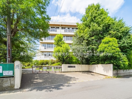 ӊ@wZ 530m zJshiwZ