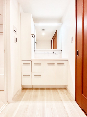 ���ʑ�E���ʏ��@�X�^�C�����O�ɕ֗��ȎO�ʋ��A�~���[�L���r�l�b�g�ōׂ������X�b�L��