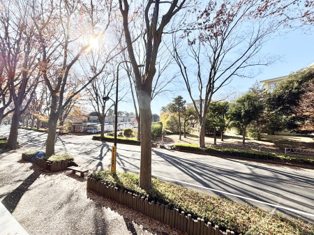 ���̑��@�o���R�j�[����̒��]�ł�