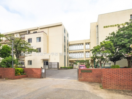 ӊ@wZ 390m 䑷qsˏwZ