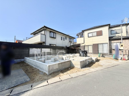 nOώʐ^@Ƃ肪Ί𐶂ސSn悢@