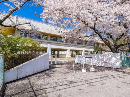 ���ӊ��@���w�Z 630m �t�����s���呝���w�Z