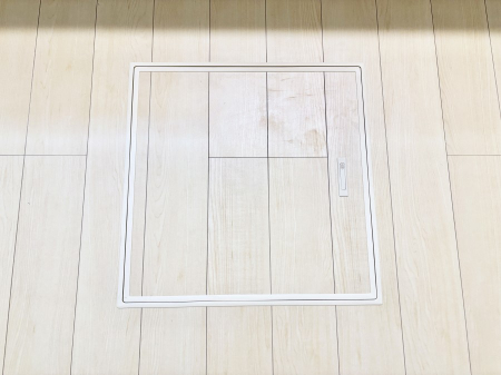 ���̑����ρ@�������[�t���I���p�i�E���p�i�̎��[�ɂ��劈��B