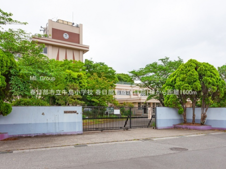 ���ӊ��@���w�Z 1600m �t�����s���������w�Z