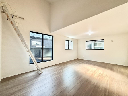 rO@傫ȑ炽Ղ̗zƕ郊rO