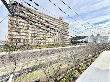 ���̑��@�o���R�j�[����̒��]�ł�