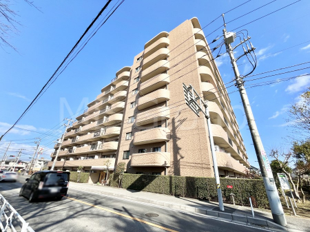 ���n�O�ώʐ^�@��Ƃ肪�Ί�𐶂ސS�n�悢���� 