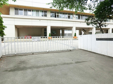 ӊ@wZ 900m ts呝wZ