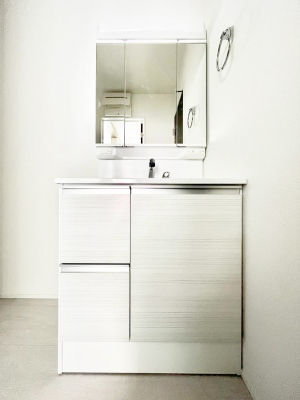 ���ʑ�E���ʏ��@�X�^�C�����O�ɕ֗��ȎO�ʋ��A�~���[�L���r�l�b�g�ōׂ������X�b�L��