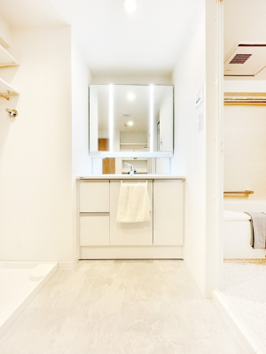 ���ʑ�E���ʏ��@���[�͂Ƌ@�\���ɗD�ꂽ���ʉ��ϑ�