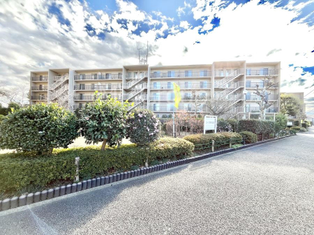 ���n�O�ώʐ^�@����z���ł��Ƒ��̏Ί���P�� 