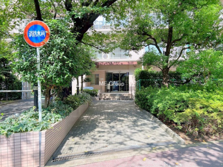 �G���g�����X�@-