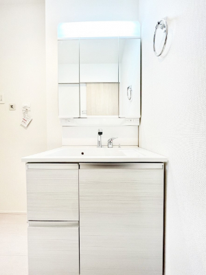 ���ʑ�E���ʏ��@�X�^�C�����O�ɕ֗��ȎO�ʋ��A�~���[�L���r�l�b�g�ōׂ������X�b�L��