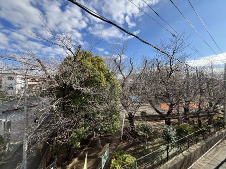 ���̑��@�o���R�j�[����̒��]�ł��B�S�n�悢����������ꂻ���ł��ˁI